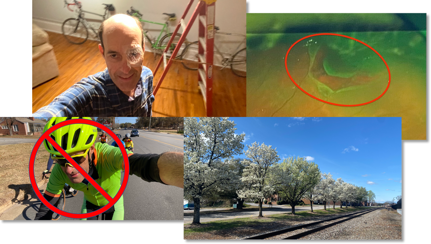 Something Different, Part 2: Mindfully Accepting and Adapting to “What Is”