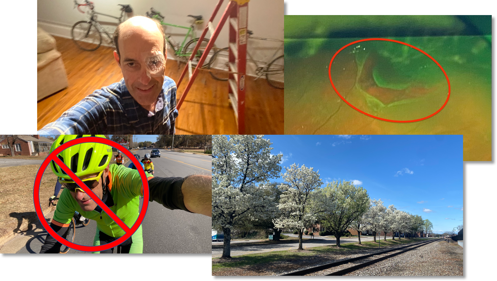 Something Different, Part 2: Mindfully Accepting and Adapting to “What Is”